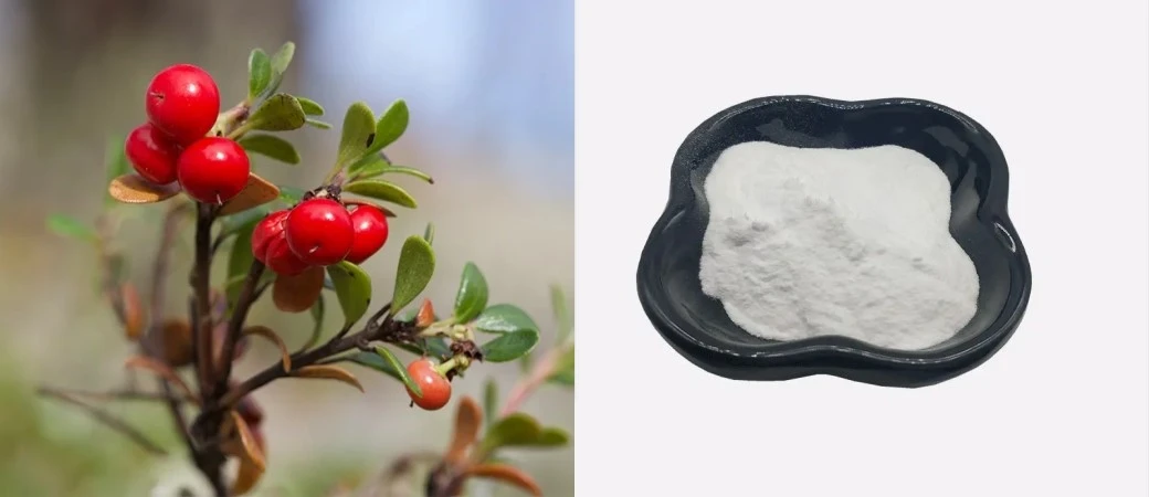 arbutin powder arbutin powder